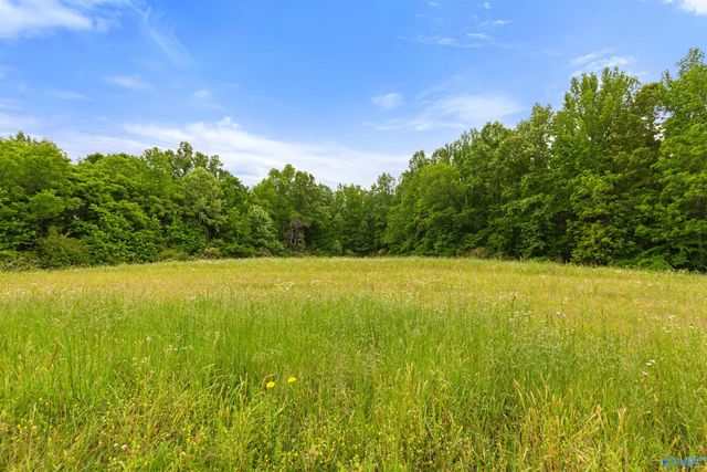 24289 Stinnett Hollow Road, Athens, AL 35614