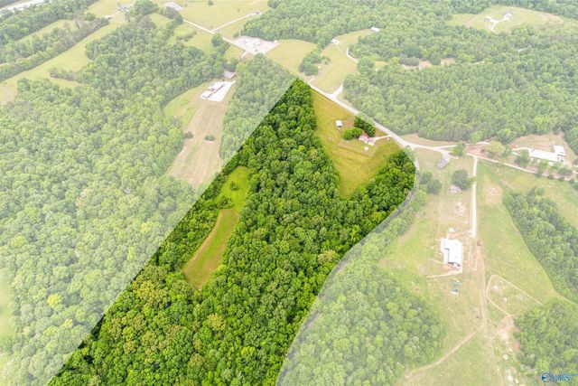 24289 Stinnett Hollow Road, Athens, AL 35614