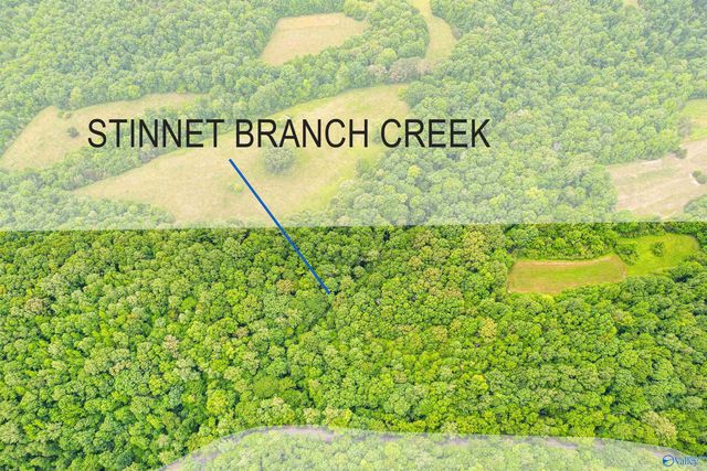24289 Stinnett Hollow Road, Athens, AL 35614