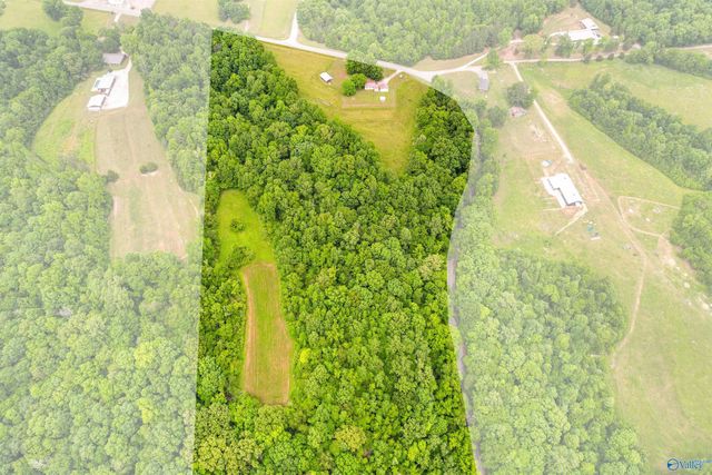 24289 Stinnett Hollow Road, Athens, AL 35614