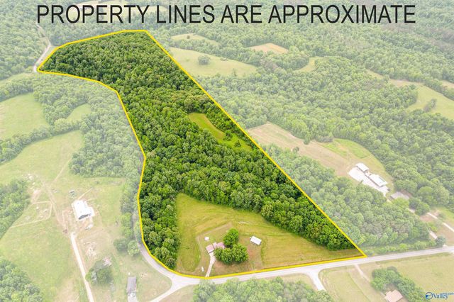 24289 Stinnett Hollow Road, Athens, AL 35614