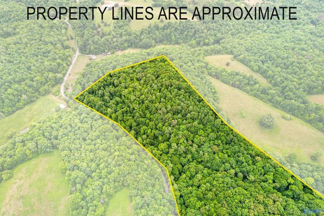 24289 Stinnett Hollow Road, Athens, AL 35614