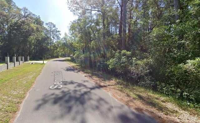 SEQUOIA DRIVE, Ocklawaha, FL 32179
