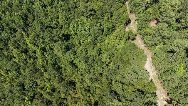 3127 Buttermilk Road, Sylvania, GA 30467