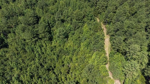 3127 Buttermilk Road, Sylvania, GA 30467