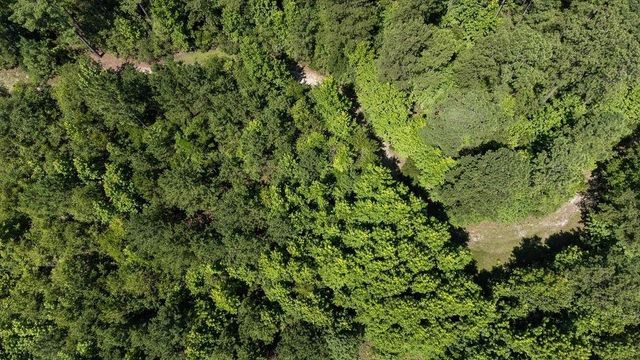 3127 Buttermilk Road, Sylvania, GA 30467