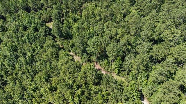 3127 Buttermilk Road, Sylvania, GA 30467