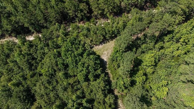 3127 Buttermilk Road, Sylvania, GA 30467