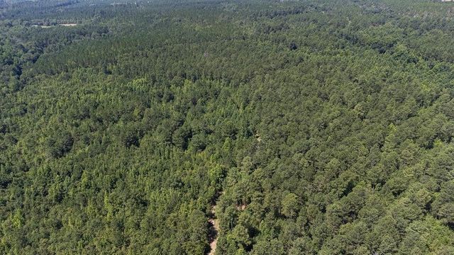 3127 Buttermilk Road, Sylvania, GA 30467