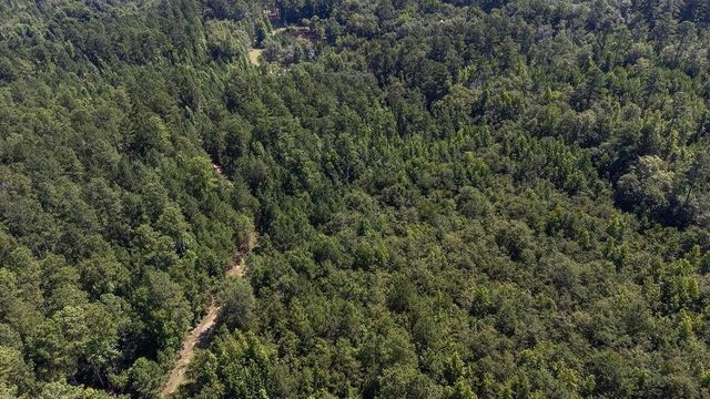 3127 Buttermilk Road, Sylvania, GA 30467