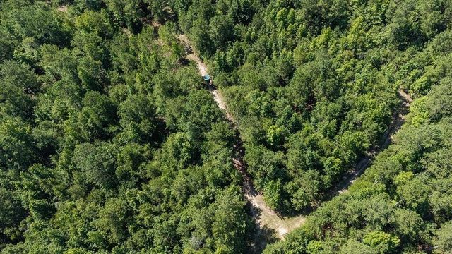 3127 Buttermilk Road, Sylvania, GA 30467