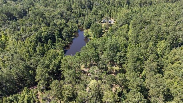 3127 Buttermilk Road, Sylvania, GA 30467