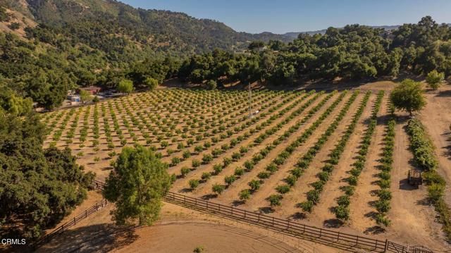 10829 Oak Knoll Road, Ojai, CA 93023