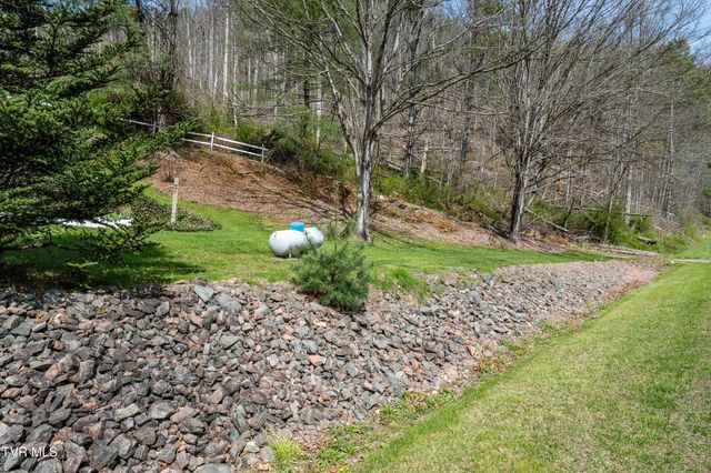 6646 Roan Creek Road, Butler, TN 37640