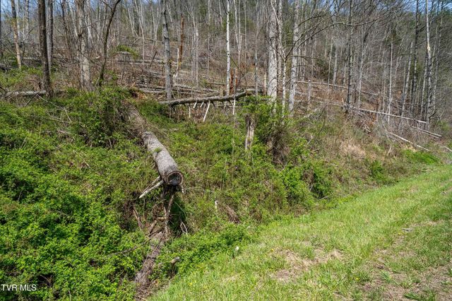 6646 Roan Creek Road, Butler, TN 37640