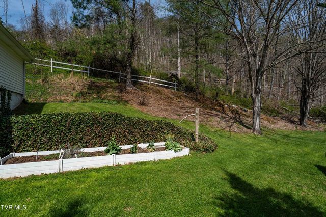 6646 Roan Creek Road, Butler, TN 37640