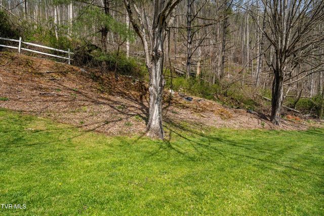 6646 Roan Creek Road, Butler, TN 37640