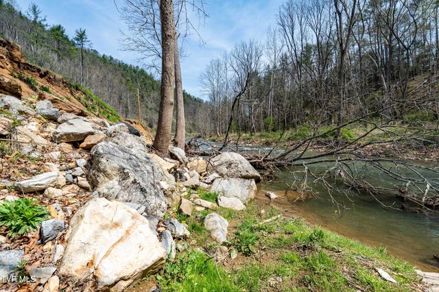 6646 Roan Creek Road, Butler, TN 37640