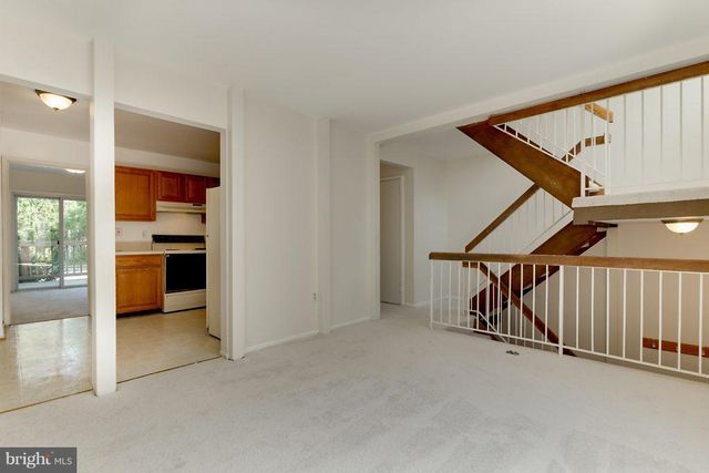 9830 SWEET MINT DR, Vienna, VA 22181