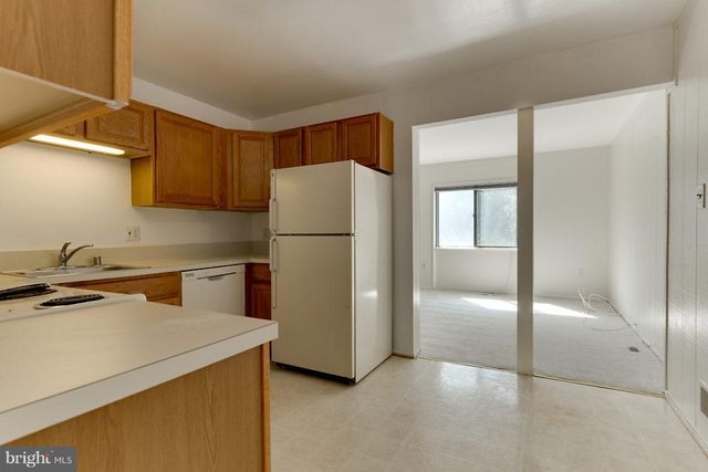 9830 SWEET MINT DR, Vienna, VA 22181