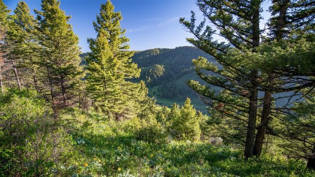 3539 Claim Creek Road, Bozeman, MT 59718