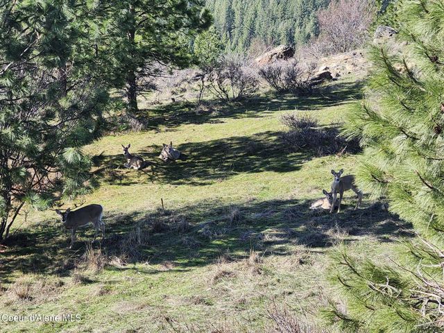 10653 N Payment Peak RD, Hauser, ID 83854