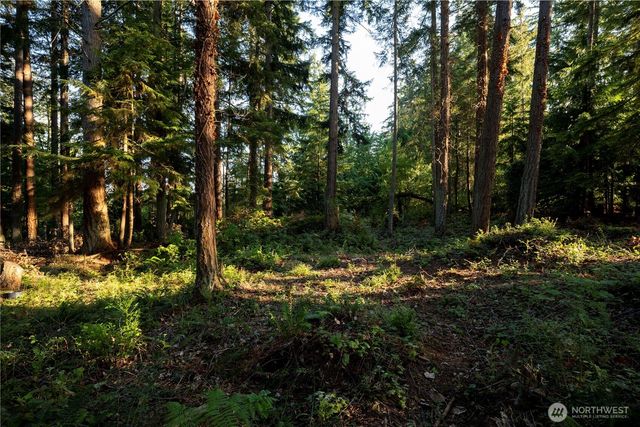 0 Ships Havens Drive, Freeland, WA 98249