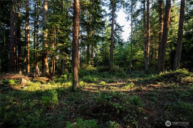 0 Ships Havens Drive, Freeland, WA 98249