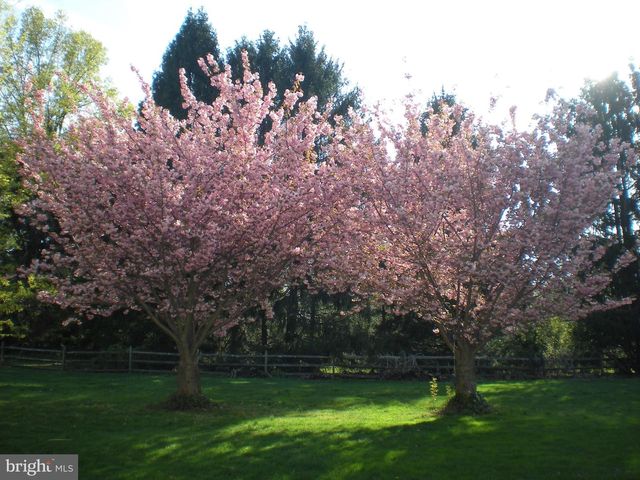 4 TREEMONT DR, Malvern, PA 19355