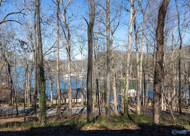 3414 Wyeth Drive, Guntersville, AL 35976