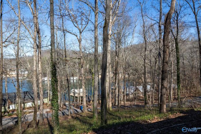 3414 Wyeth Drive, Guntersville, AL 35976