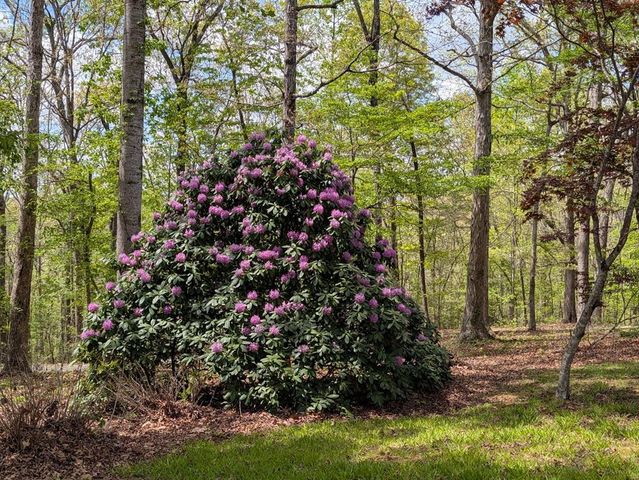 223 Mountain Breezes Drive, Hayesville, NC 28904