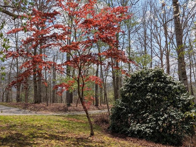 223 Mountain Breezes Drive, Hayesville, NC 28904