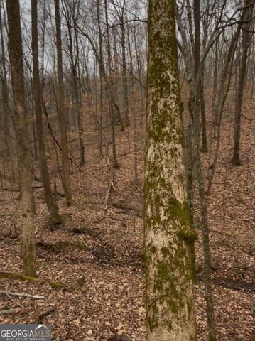 0 Sutton Road, Talking Rock, GA 30175