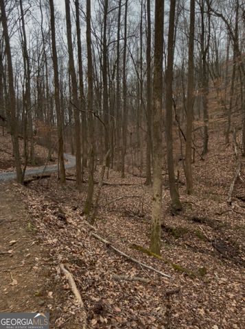 0 Sutton Road, Talking Rock, GA 30175