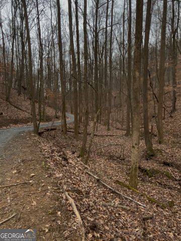 0 Sutton Road, Talking Rock, GA 30175