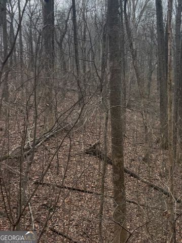 0 Sutton Road, Talking Rock, GA 30175