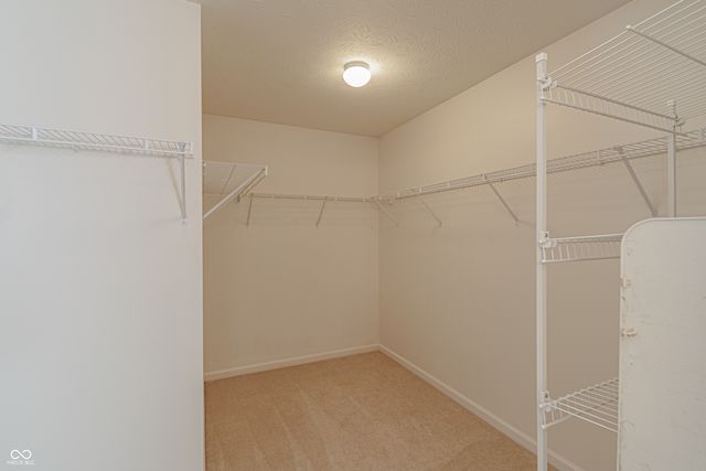 2556 Liatris Drive, Plainfield, IN 46168