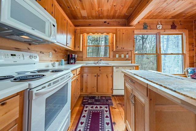 1165 Little Bushy Head Road, Blue Ridge, GA 30522