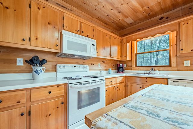 1165 Little Bushy Head Road, Blue Ridge, GA 30522