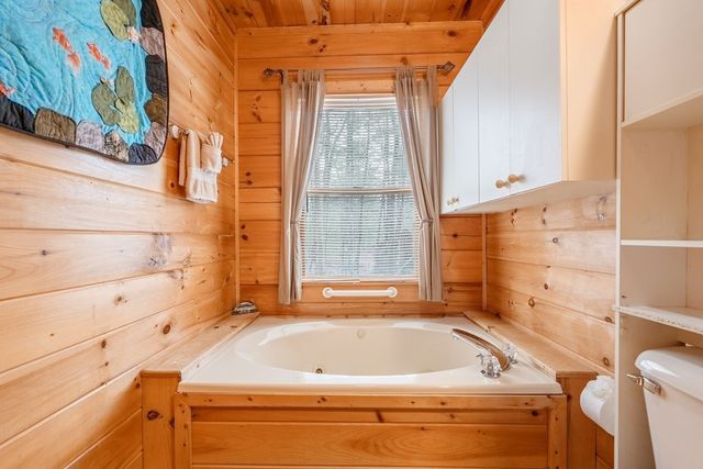 1165 Little Bushy Head Road, Blue Ridge, GA 30522