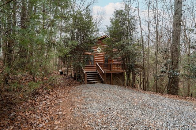 1165 Little Bushy Head Road, Blue Ridge, GA 30522