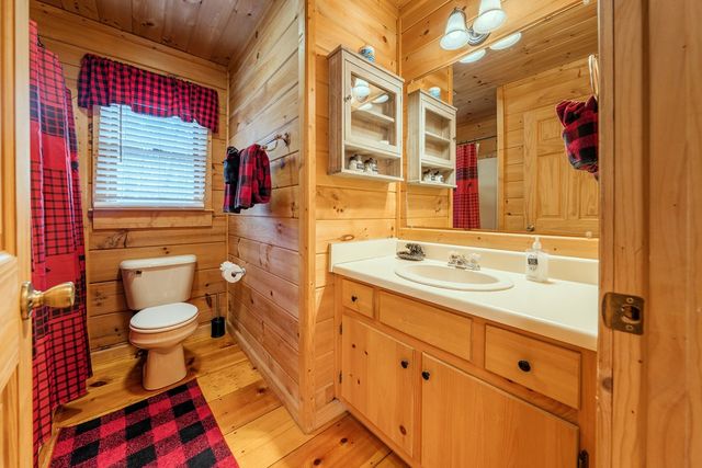 1165 Little Bushy Head Road, Blue Ridge, GA 30522