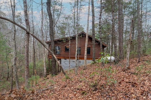 1165 Little Bushy Head Road, Blue Ridge, GA 30522