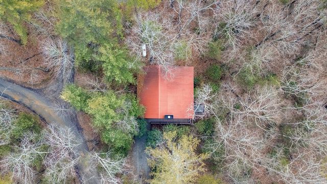 1165 Little Bushy Head Road, Blue Ridge, GA 30522