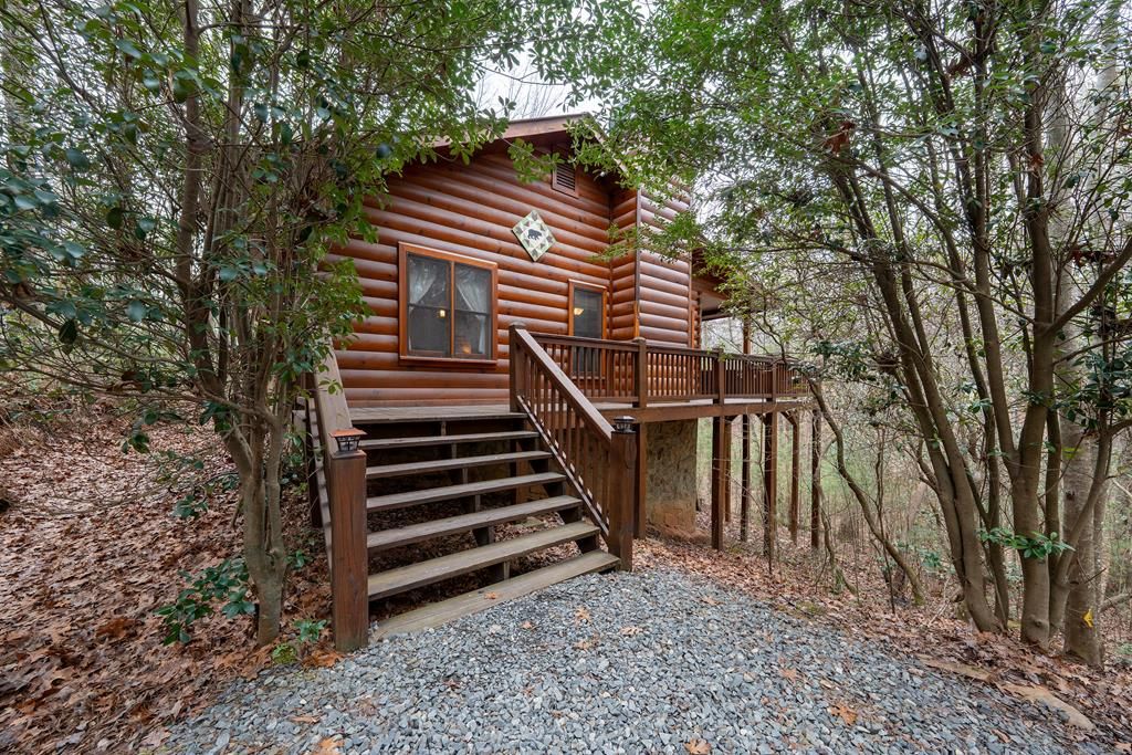 1165 Little Bushy Head Road, Blue Ridge, GA 30522
