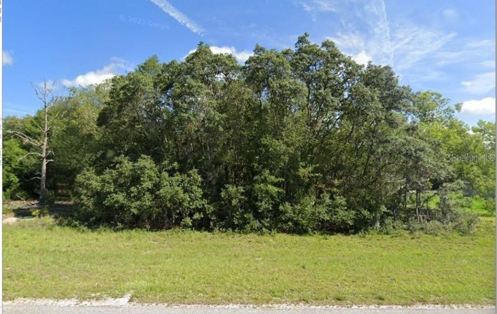 00 MALAUKA RD 40, Ocklawaha, FL 32179