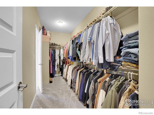 1883 Vista Plaza Street, Severance, CO 80550