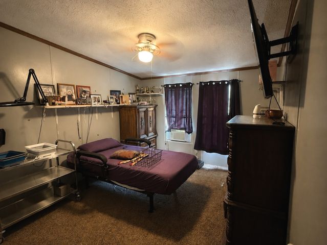 22950 Fawn Trail, Elmendorf, TX 78112