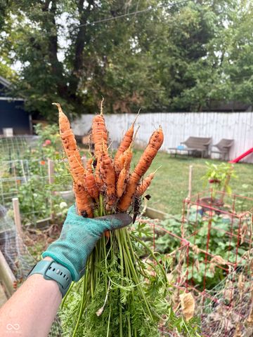 4225 Guilford Avenue, Indianapolis, IN 46205